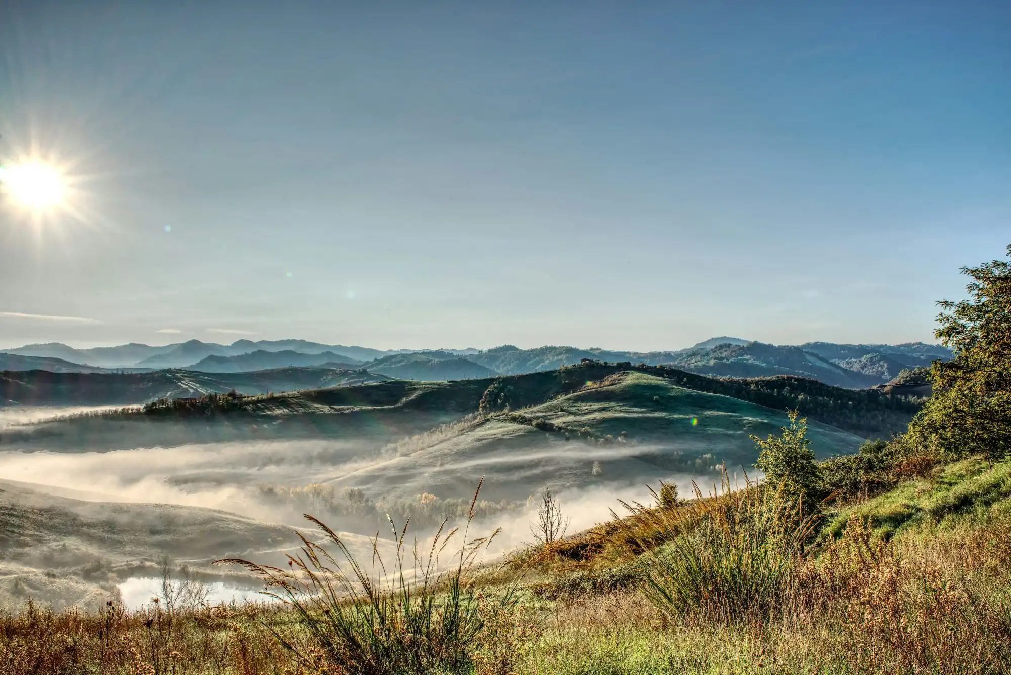 Bosco intorno al comune di Zocca a Modena, panorama con un bel sole sopra gli alberi